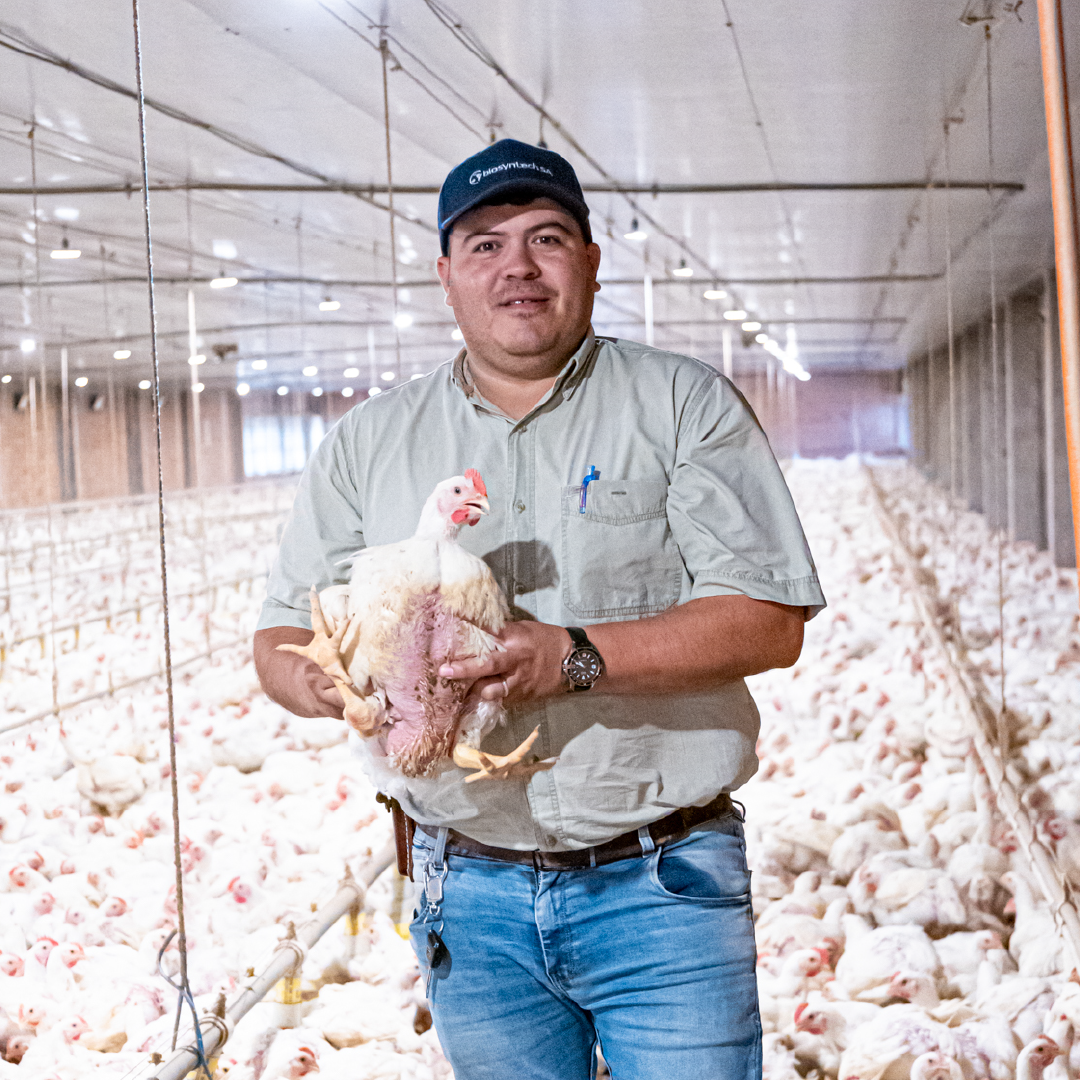 Retrato de un productor avícola en su lugar de trabajo